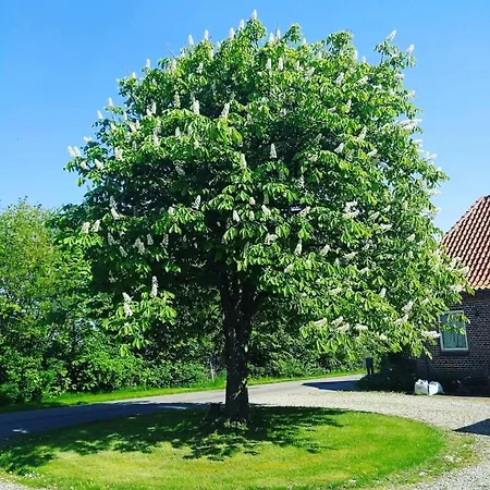 بيت للعطل Kaergard Bovlingbjerg