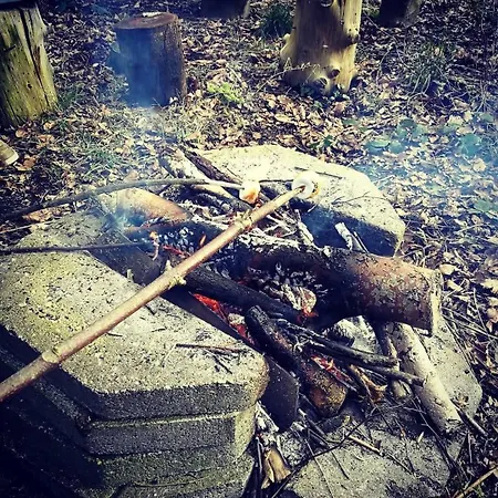 Kaergard Bovlingbjerg